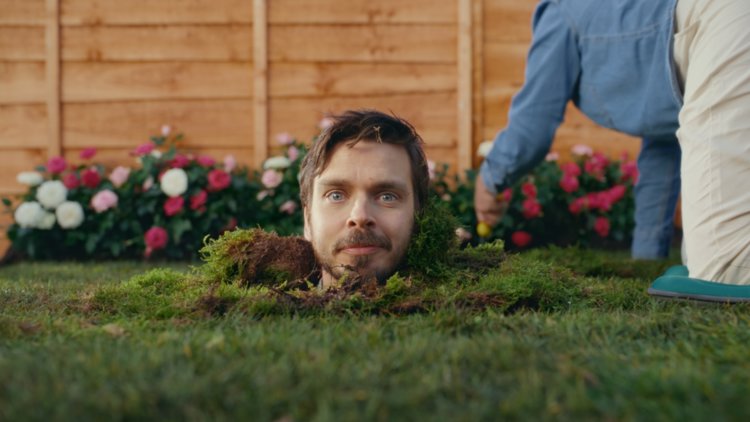 Dobbies Spring's Our Thing