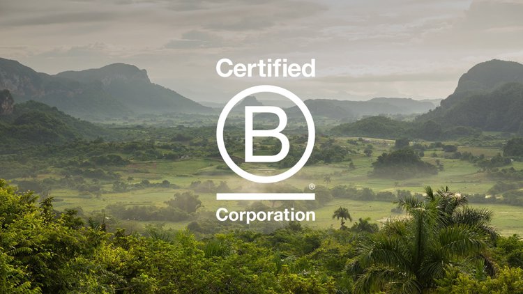 B Corp Assessment