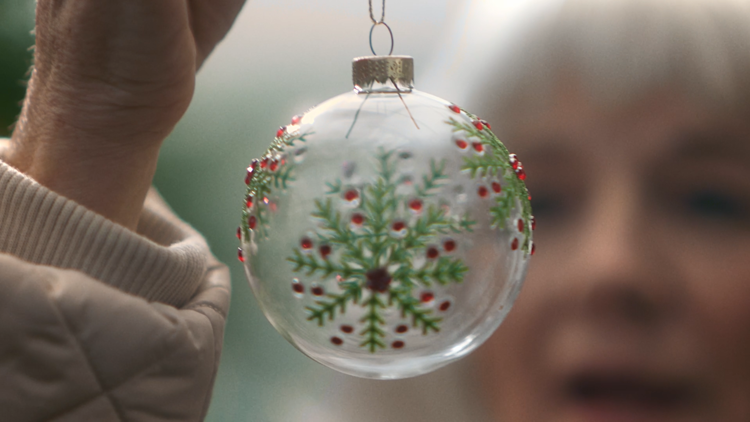 Dobbies - Christmas, in Every Sense
