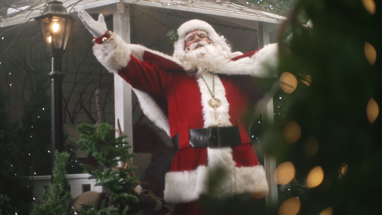 Dobbies - Christmas, in Every Sense