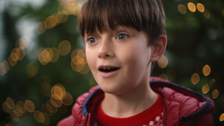 Dobbies - Christmas, in Every Sense